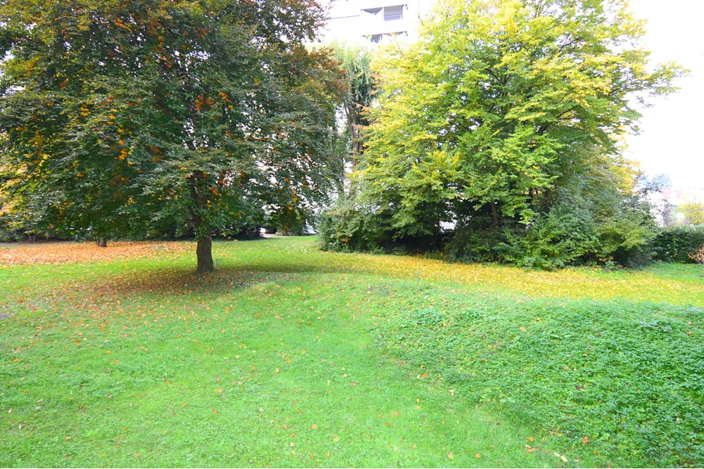 Wohnung - Kauf - Füllinsdorf, Basel-Landschaft - DSC_0022.jpg - 110031036-80