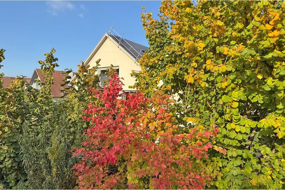 Wohnung - Wohnung - Jonen, Aargau - CH - IMG_2563.jpg - 118921009-361