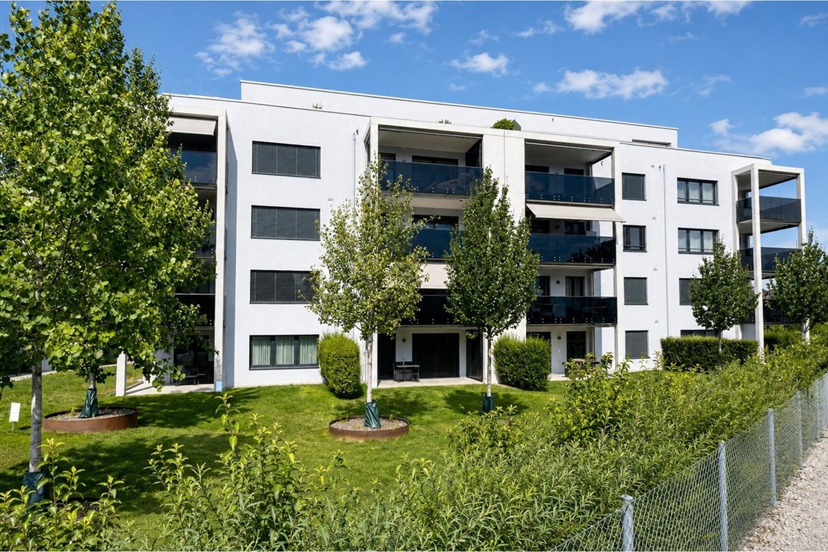 Wohnung - Kauf - Böttstein, Aargau - Böttstein 22.jpeg - 111231001-10