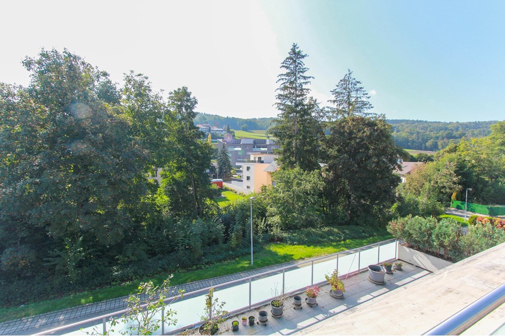 Wohnung - Kauf - Hilfikon, Aargau - IMG_8212.jpg - 118921007-219