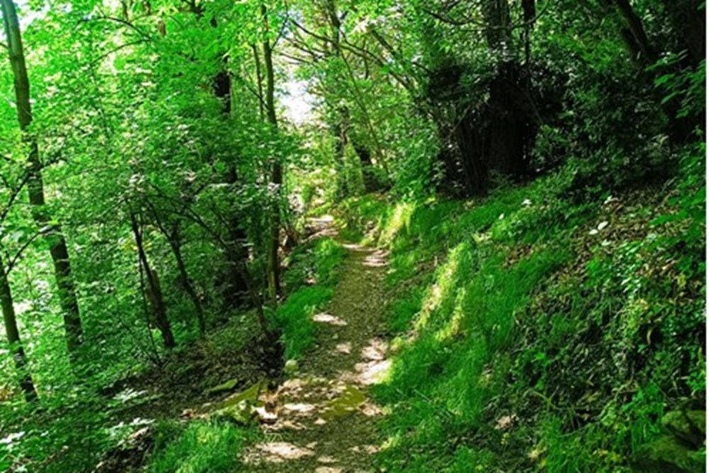 Einfamilienhaus - Kauf - Roveredo, Tessin - IMG_20250523_152942.jpg - 119001050-293
