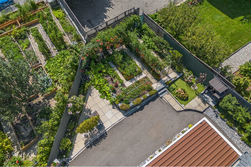 Einfamilienhaus - Kauf - Sion, Wallis - Chamoson-46.jpg - 119451002-471