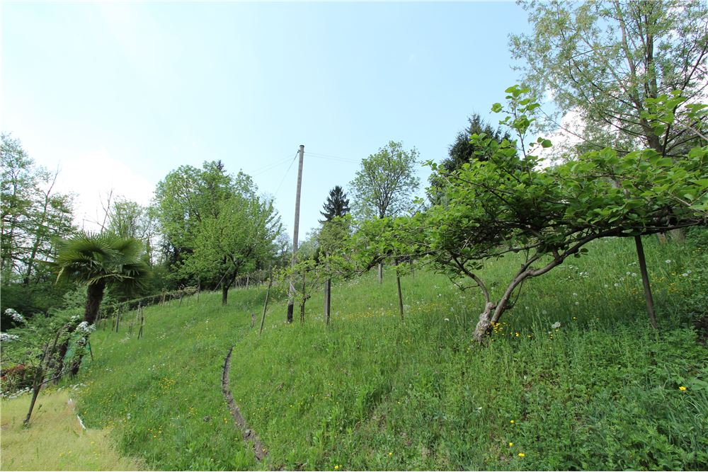 Residencial - Terreno Edificable - Ponte Cremenaga, Tessin - CH - 25 - 119001001-2879