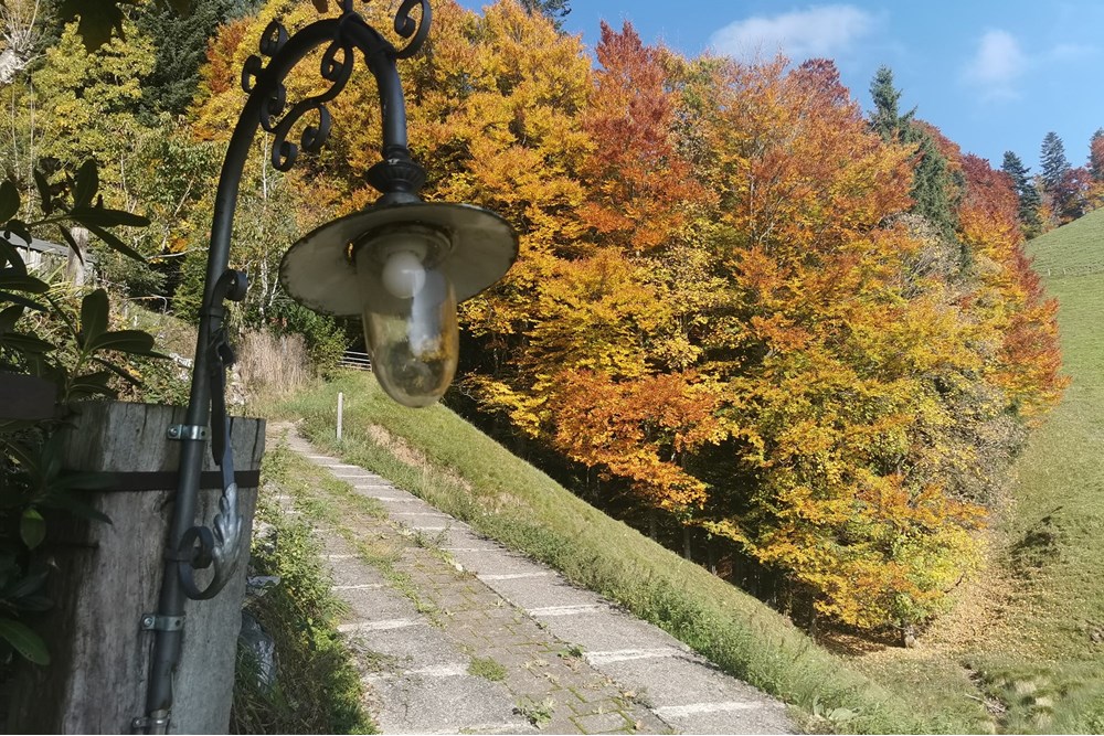 Chalet - Kauf - Dicken bei Degersheim, St. Gallen - IMG_20251018_141534.jpg - 119901001-78