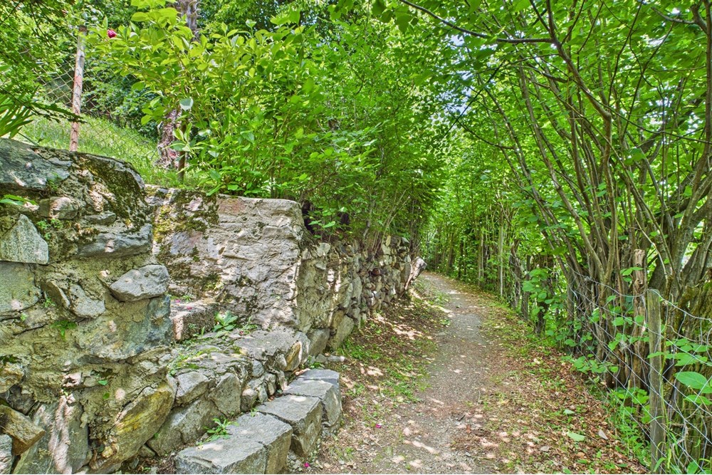 Einfamilienhaus - Kauf - Roveredo, Tessin - CAM02262G0-PR0517-STILL002 Il sentiero d_arrivo.jpg - 119001050-293