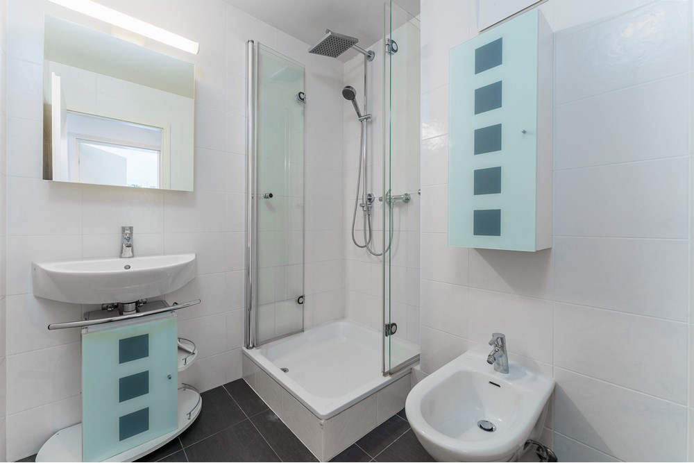 Résidentiel - Appartement avec jardin - Fechy, Waadt - CH - Shower Room.jpg - 119791003-381