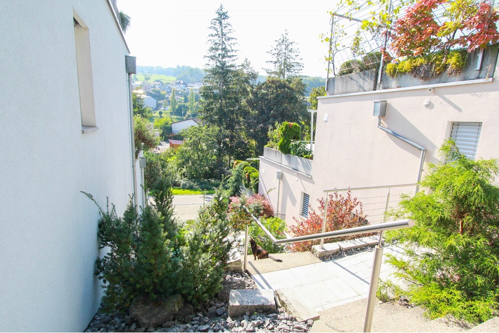 Wohnung - Kauf - Hilfikon, Aargau - IMG_8217.jpg - 118921007-219