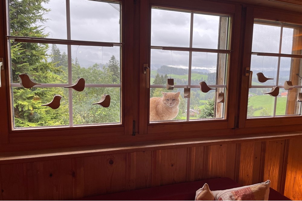 Chalet - Kauf - Dicken bei Degersheim, St. Gallen - IMG_9937.JPG - 119901001-78