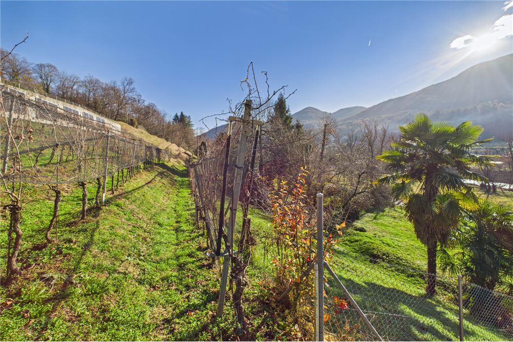 Prédio Habitacional - Casa - Ponte Cremenaga, Tessin - CH - 47 - 119001050-308