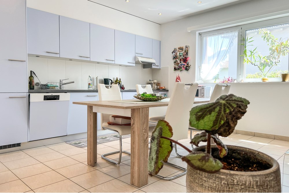 Mehrfamilienhaus - Kauf - Losone, Tessin - IMG_4078_.jpeg - 118461080-50