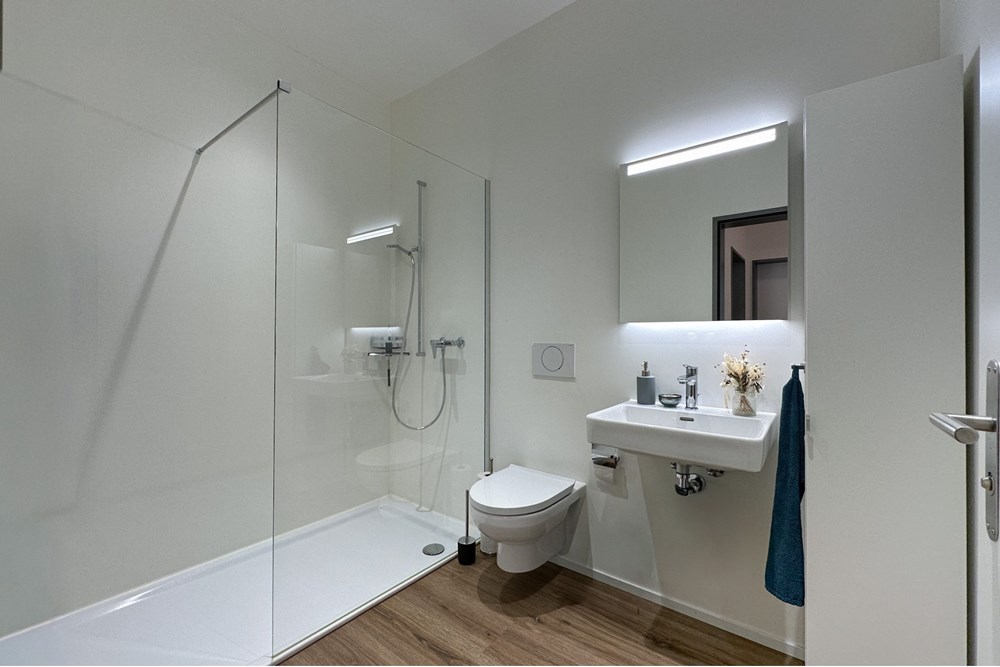 Gemischte Immobilie - Kauf - Grosswangen, Luzern - IMG_2650.JPG - 118181057-169