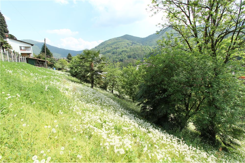 Residencial - Terreno Edificable - Ponte Cremenaga, Tessin - CH - 29 - 119001001-2879