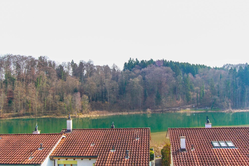 Einfamilienhaus - Kauf - Bremgarten AG, Aargau - IMG_8516.jpg - 118921007-231