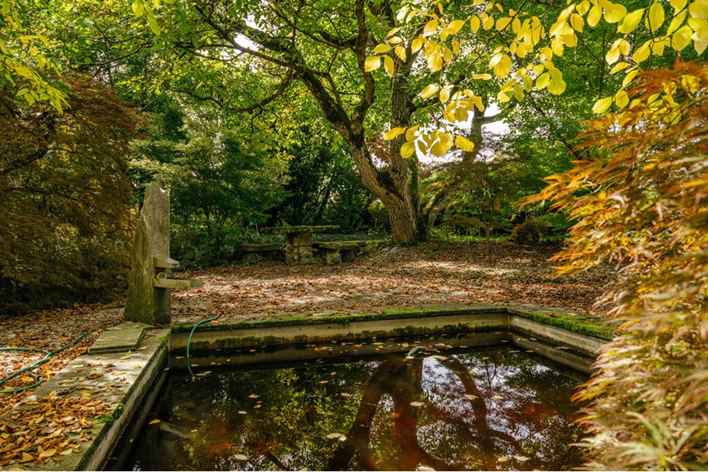 Residential - House - Eggenwil, Aargau - CH - HOFORSTRASSE-41.jpg - 118921009-359