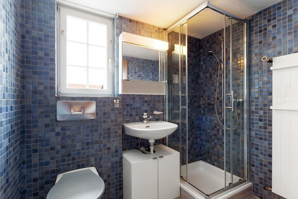 Mehrfamilienhaus - Kauf - Berg SG, St. Gallen - HausBergSG30.jpg - 119191018-220