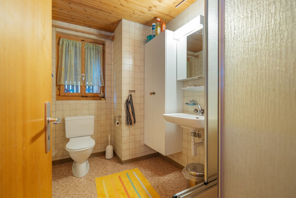 Einfamilienhaus - Kauf - Hofstetten bei Brienz, Bern - DSC04726.jpg - 111211001-118