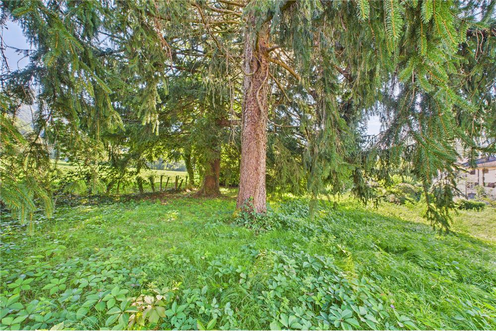 Prédio Habitacional - Terreno - Castelrotto, Tessin - CH - 38 - 119001091-58