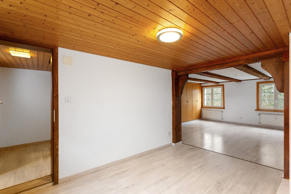 Mehrfamilienhaus - Kauf - Berg SG, St. Gallen - HausBergSG18.jpg - 119191018-220