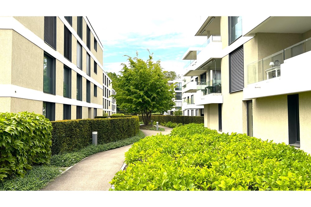 Wohnung - Kauf - Kloten, Zürich - IMG_0110-.jpg - 119641003-165