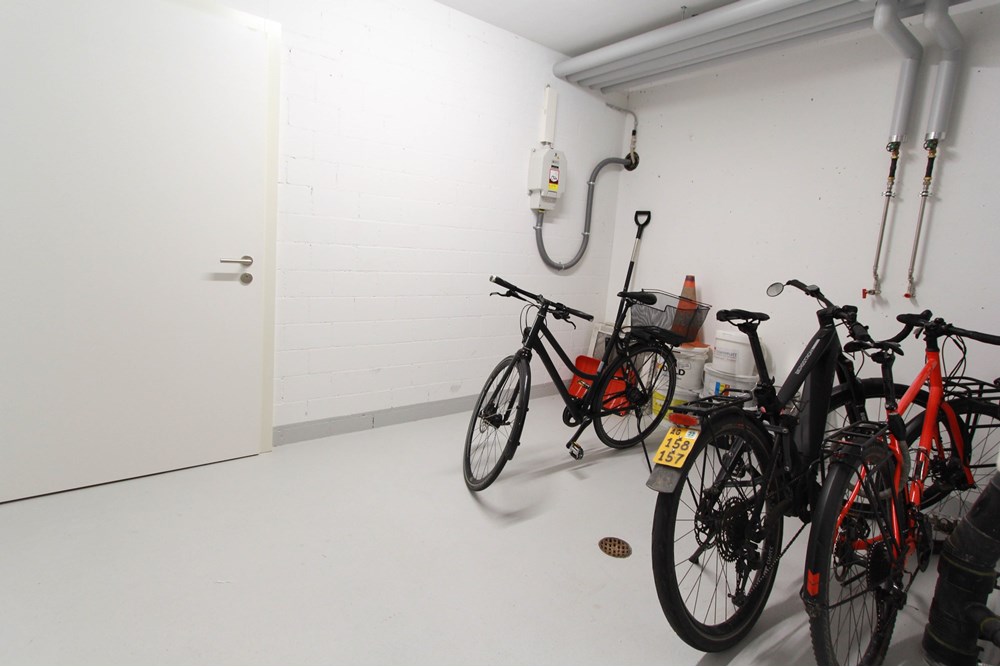 Wohnung - Wohnung - Rütihof (Baden), Aargau - CH - IMG_7194.jpg - 118921007-227