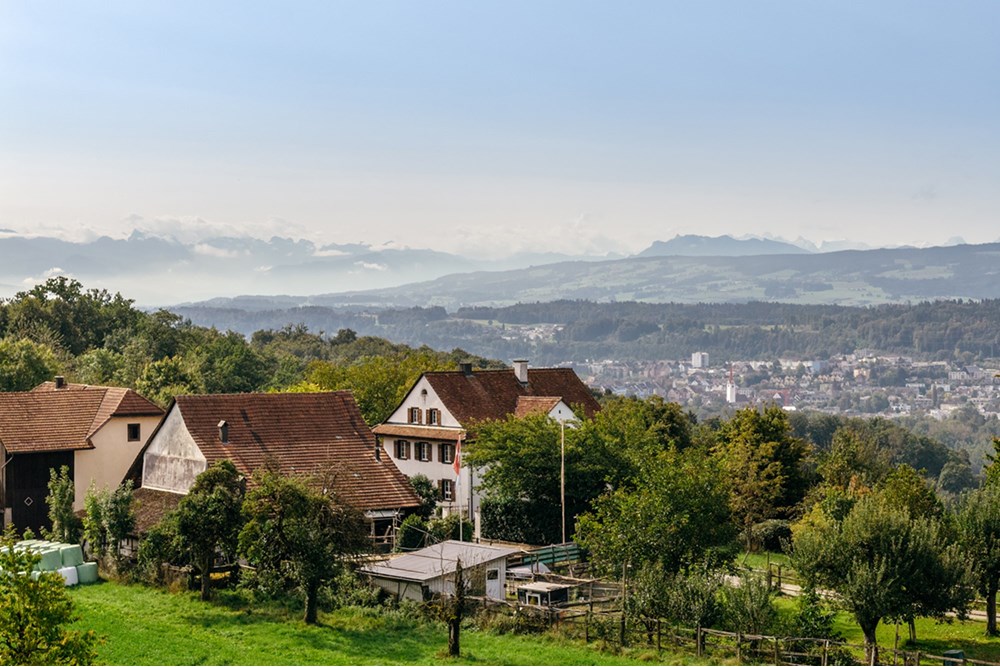 Residential - House - Eggenwil, Aargau - CH - HOFORSTRASSE-18.jpg - 118921009-359