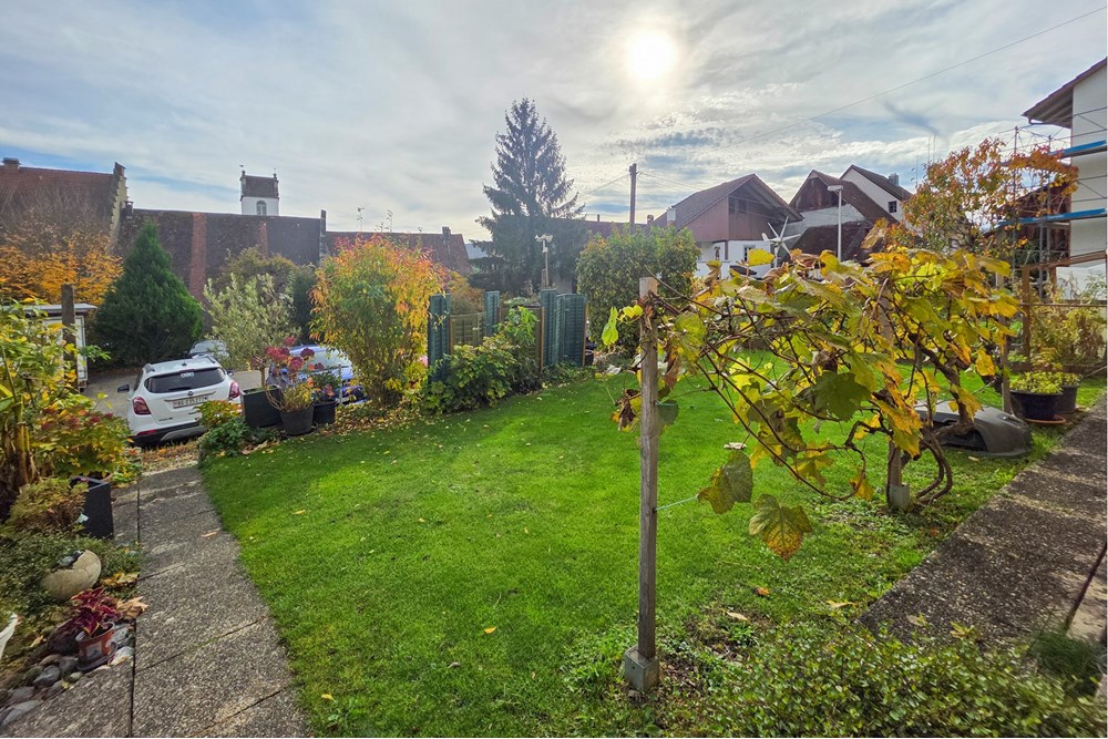 Einfamilienhaus - Kauf - Schinznach Dorf, Aargau - 20251029_135455.JPG - 119241016-289