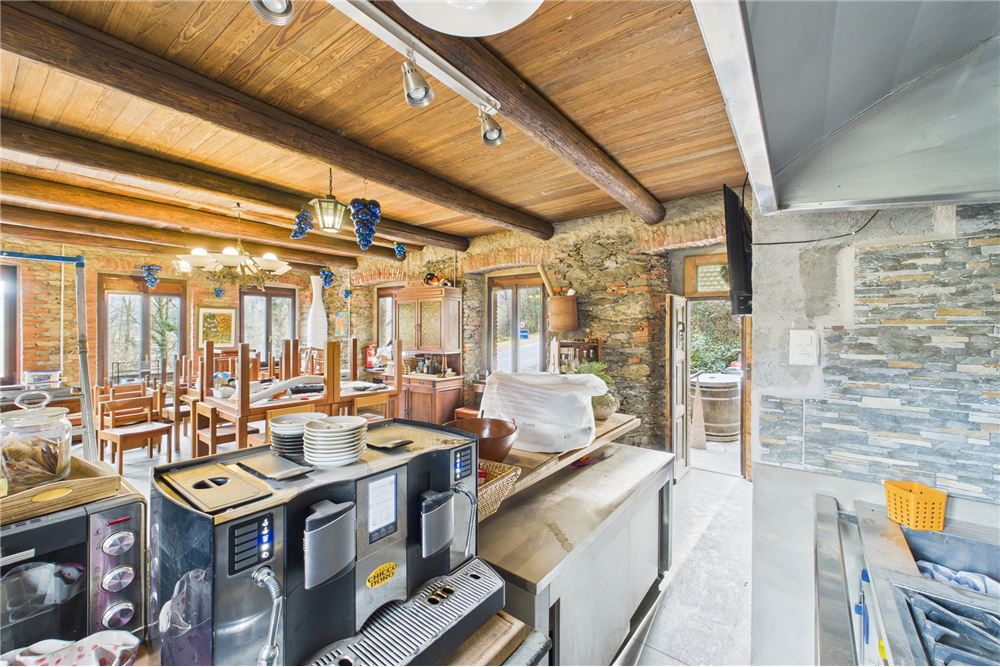 Comercial - Comercio/Tienda - Monteggio, Tessin - CH - 10 - 119001050-305