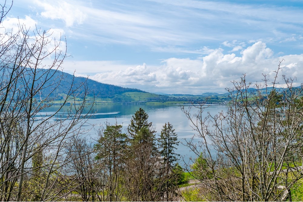 Wohnung - Kauf - Walchwil, Zug - Web_Sagenstrasse 41, 6318 Walchwil_60_klein.jpg - 119961001-159