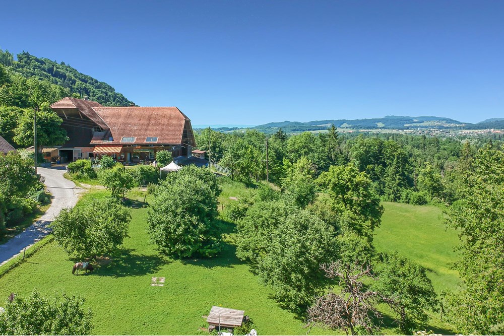 Bauernhof - Kauf - Belp, Bern - Oberaar-38.jpg - 119241015-253