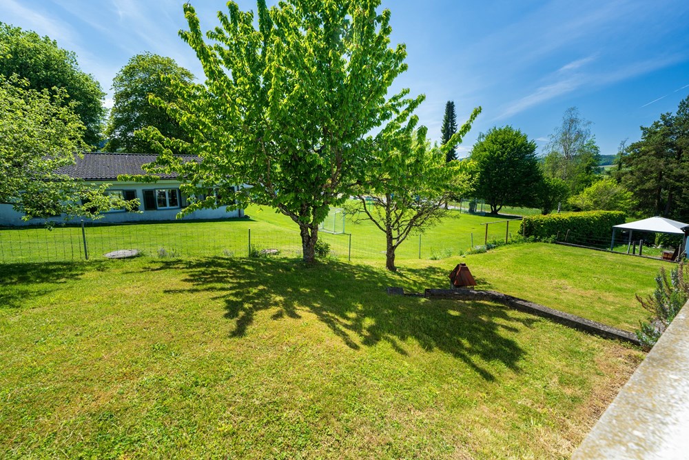 Einfamilienhaus - Kauf - Wildberg, Zürich - 2_Aussen11.jpg - 118761010-21