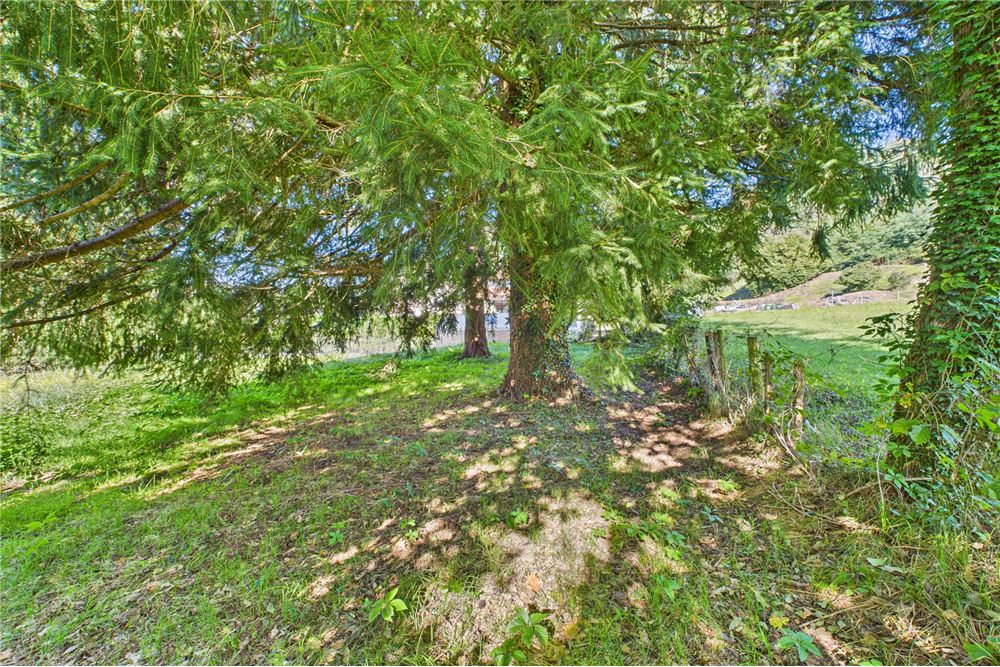 Prédio Habitacional - Terreno - Castelrotto, Tessin - CH - 44 - 119001091-58