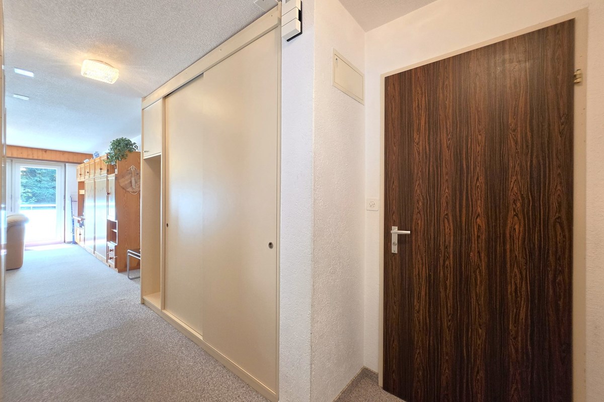Wohnung - Kauf - Leukerbad, Wallis - 3.5 Zi-Wohnung in Leukerbad-Eingang-Garderobe.jpg - Eingangsbereich - 119101007-745