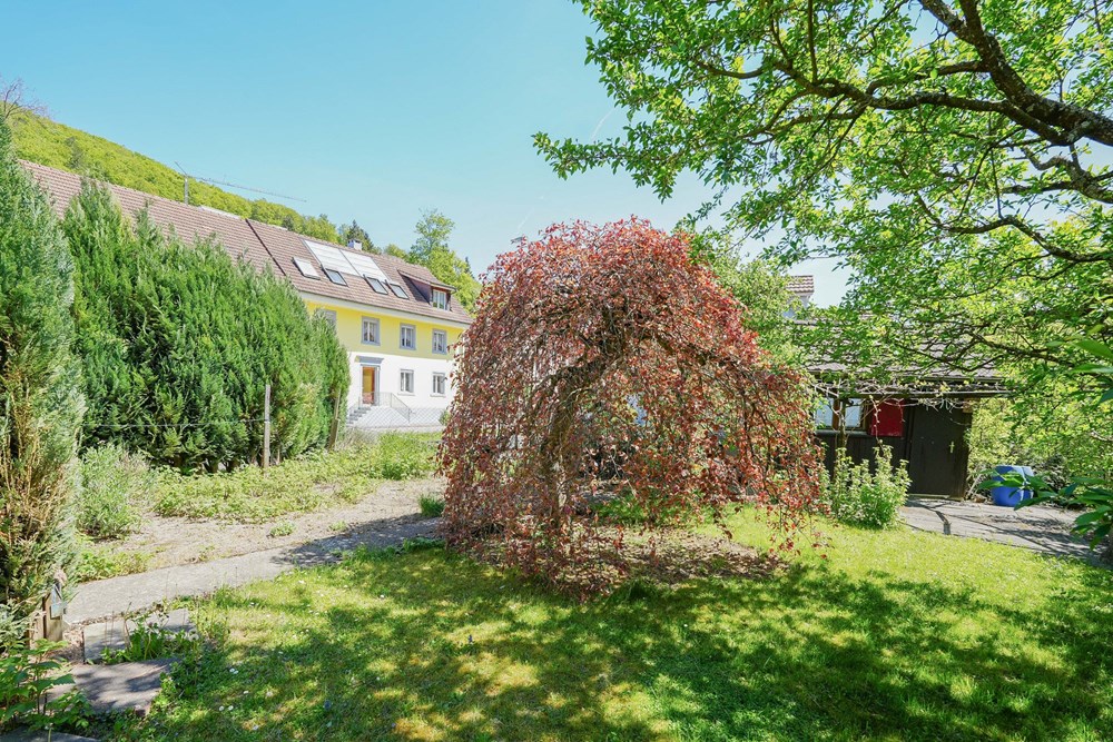 Einfamilienhaus - Kauf - Etzgen, Aargau - etzgen dorfstrasse april 2026 (1 von 17).jpg - 110091020-149