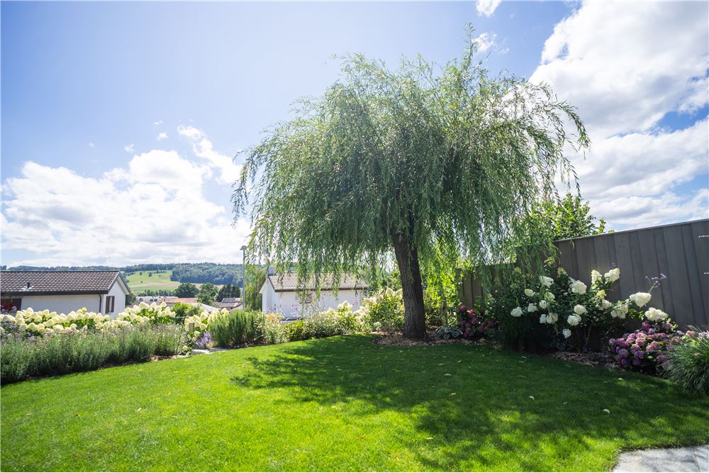 Residential - House - Waltenschwil, Aargau - CH - 64 - 118921025-78