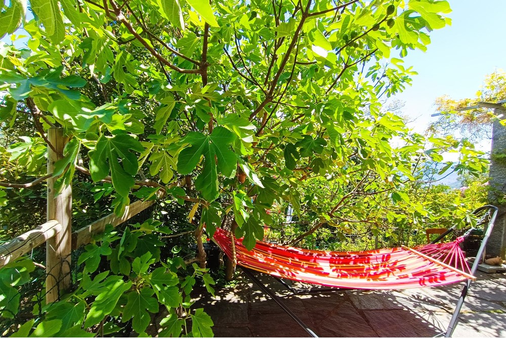 Einfamilienhaus - Kauf - Roveredo, Tessin - IMG_20250523_144858.jpg - 119001050-293