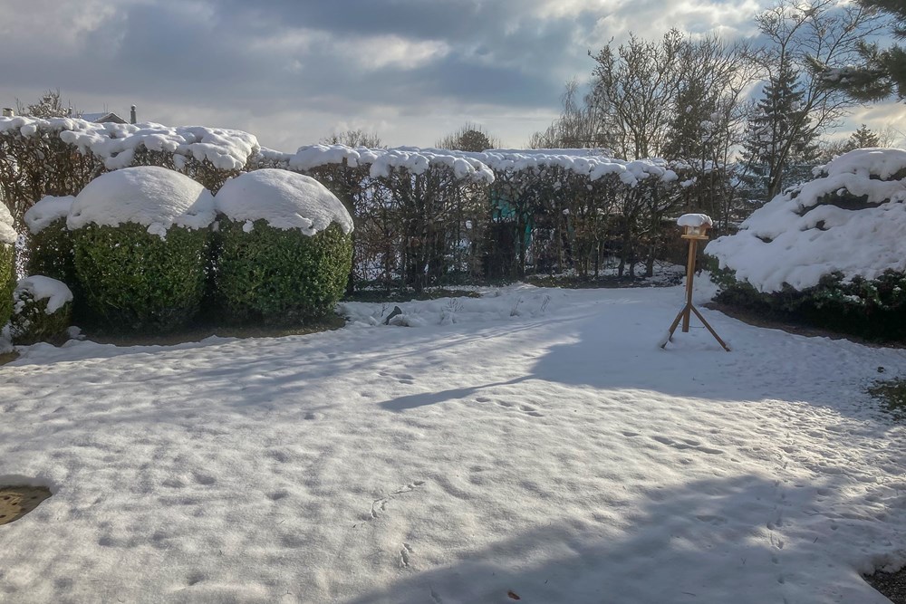 Einfamilienhaus - Kauf - Zollikofen, Bern - IMG_4716.jpg - 119621006-329