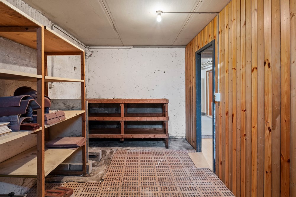 Einfamilienhaus - Kauf - Wohlen AG, Aargau - Naturkeller.jpg - 111241001-30