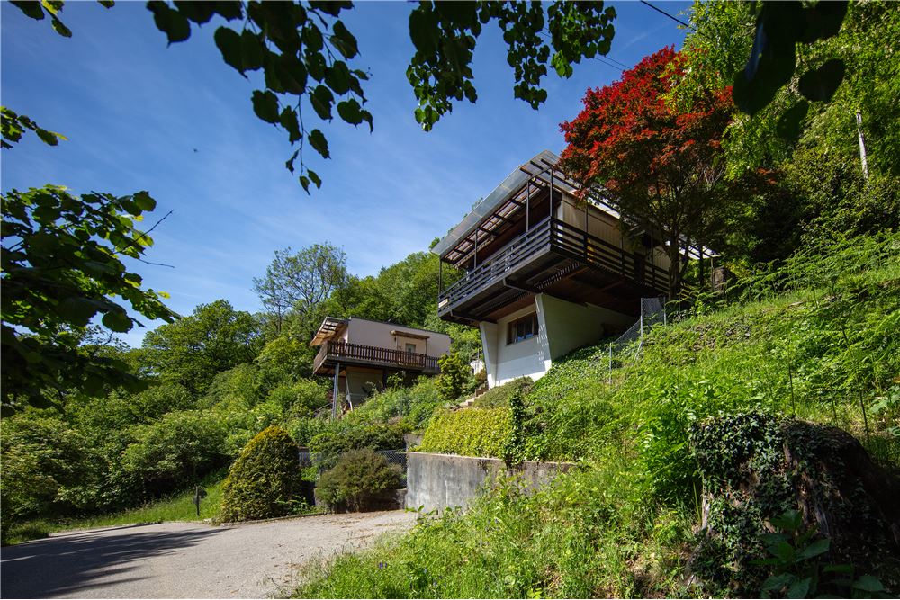 Einfamilienhaus - Kauf - Odogno, Tessin - 156 - 119871001-194