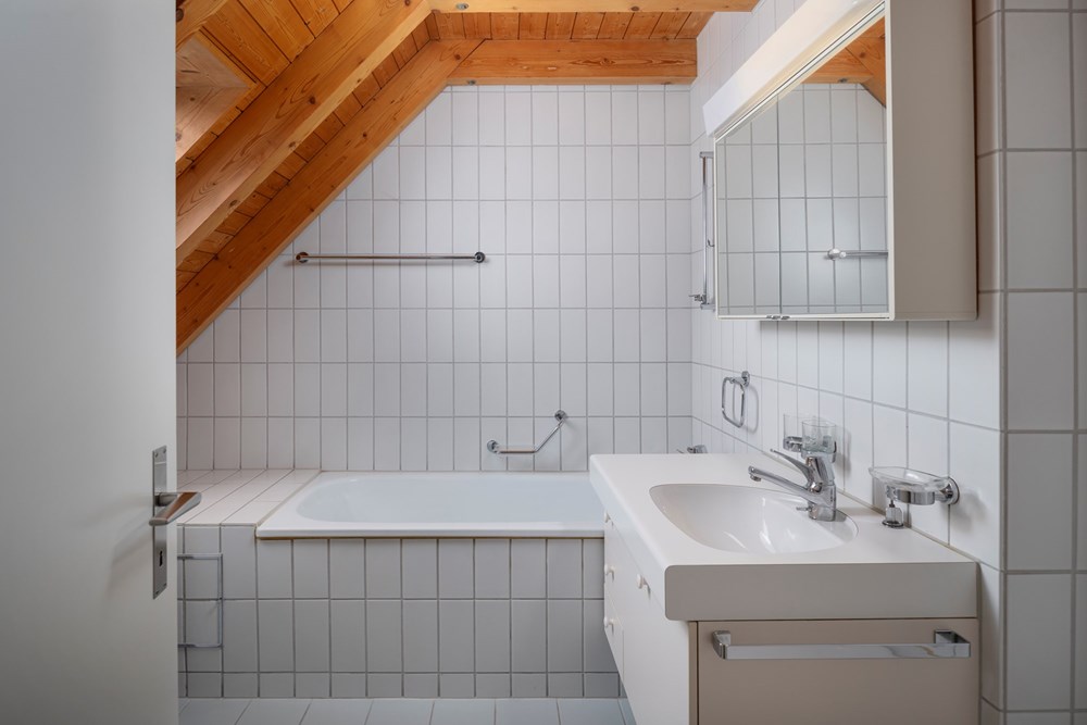 Maisonette - Kauf - Zürich, Zürich - 005 - Im Tiergarten 45, 8055 Zürich (Daniel Blake Fotografie).jpg - 111281001-47