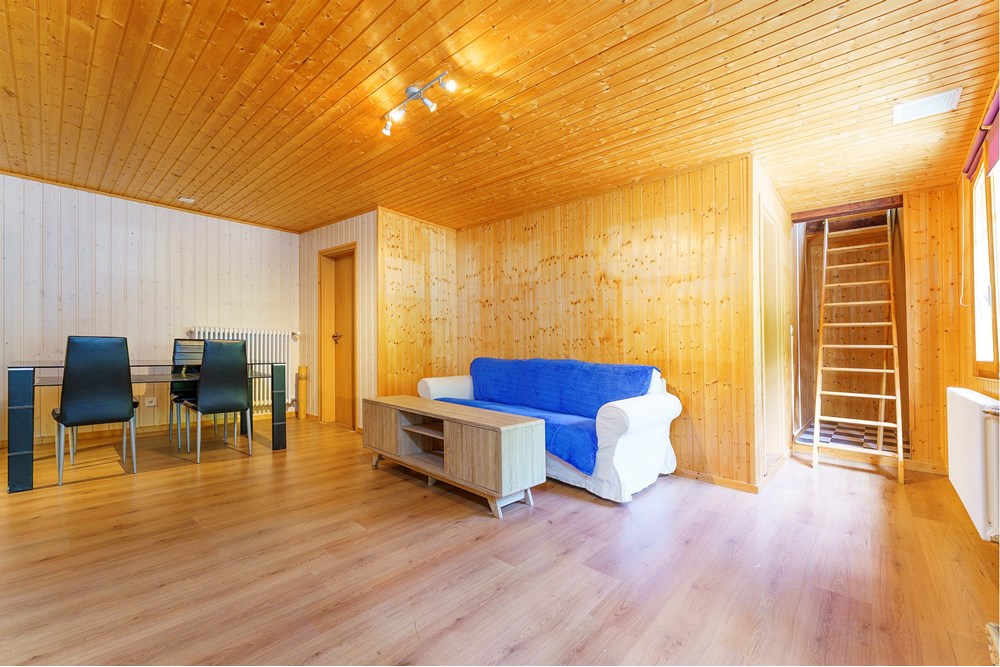 Résidentiel - Ferme - Charmey (Gruyère), Freiburg - CH - Living Room Apartement.jpg - 119791003-374