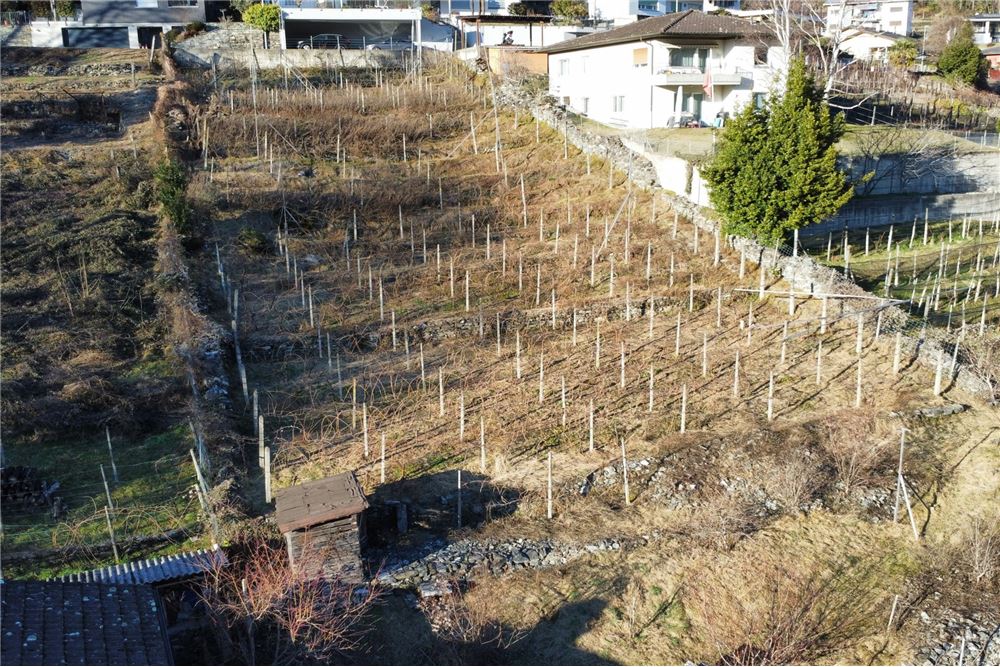 Wohnung - Kauf - Lumino, Tessin - 21 - 119001001-2843