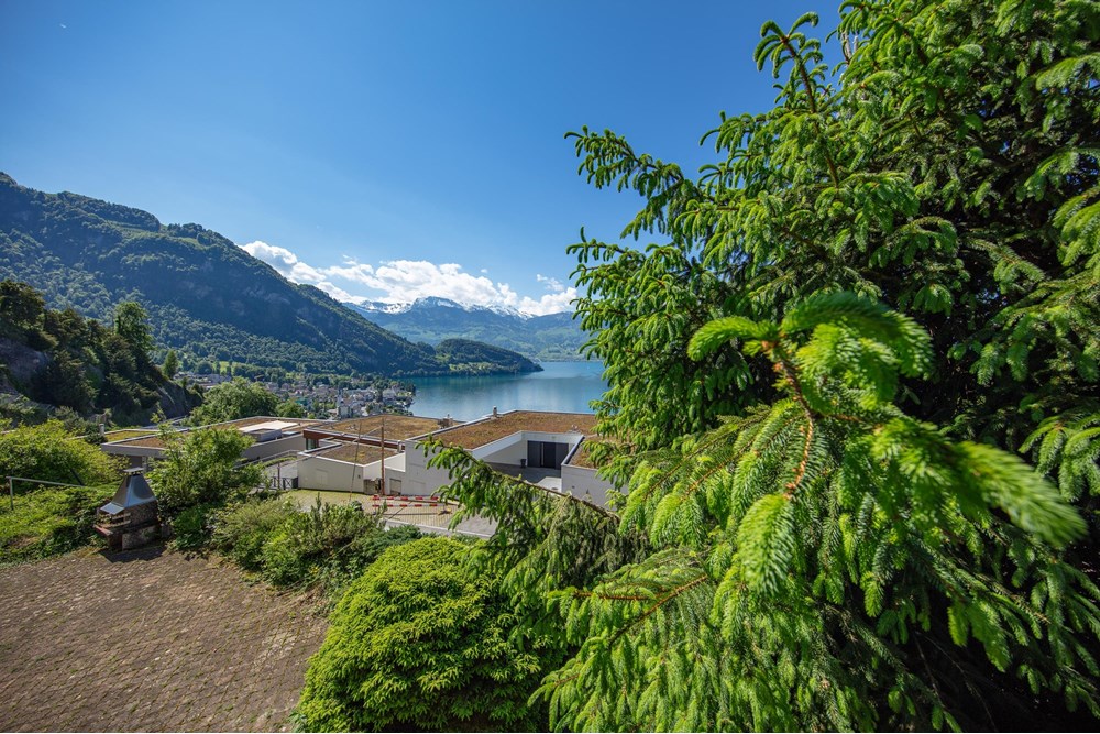 Villa - Kauf - Vitznau, Luzern - 253A6636.jpg - 119871001-102