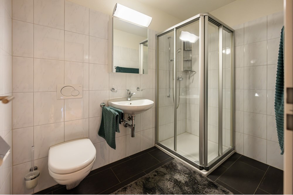 Einfamilienhaus - Kauf - Lachen, Schwyz - DSC06879.jpg - 118471002-279