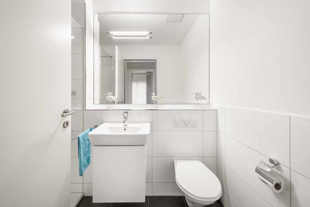 Wohnung - Kauf - Alpnach, Obwalden - W4_027_web.jpg - 118181035-325