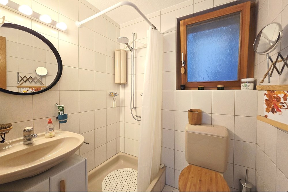 Studio - Kauf - Albinen, Wallis - Studio 'Ilhorn' Albinen_DU-WC.jpg - Dusche - 119101007-721