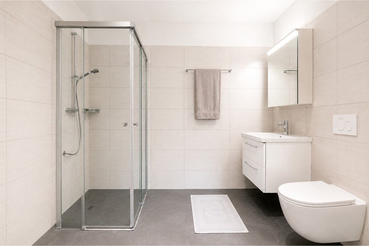 Wohnung - Kauf - Böttstein, Aargau - Böttstein 5.jpeg - 111231001-10