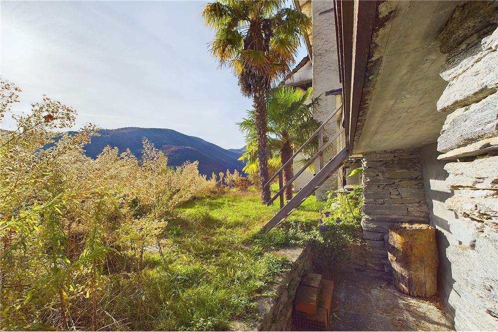 Residential - Holiday Apartment - Loco, Tessin - CH - Prato in uso esclusivo con scala diretta dalla terrazza /Wiese (excl. Nutzung) mit direktem Zugang von der Terrasse   - 119001086-39