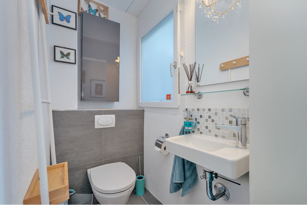 Wohnung - Haus - Waltenschwil, Aargau - CH - HASEL-19.jpg - 118921009-363