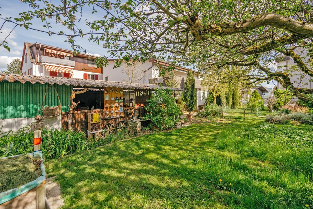 Mehrfamilienhaus - Kauf - Dintikon, Aargau - LANGE57-56.jpg - 118921009-381