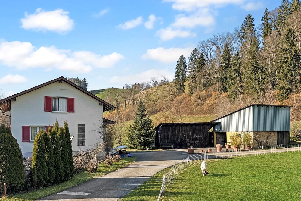 Einfamilienhaus - Kauf - Hüswil, Luzern - 2a3dd758c524fa69b435087e304cfbfbc67a8e6d.jpg - 118181029-328